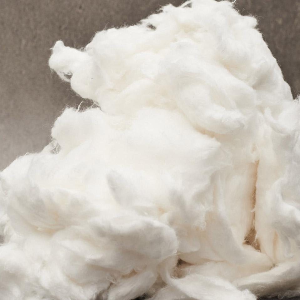 Certified cotton fields